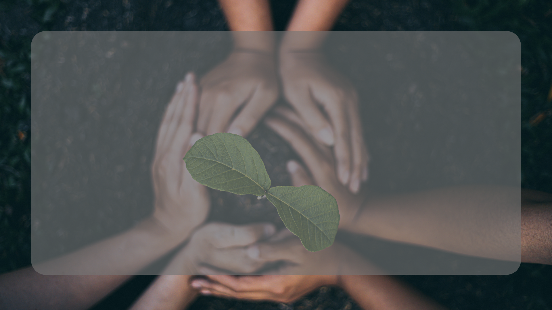 Agricultural background